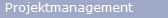 Projektmanagement